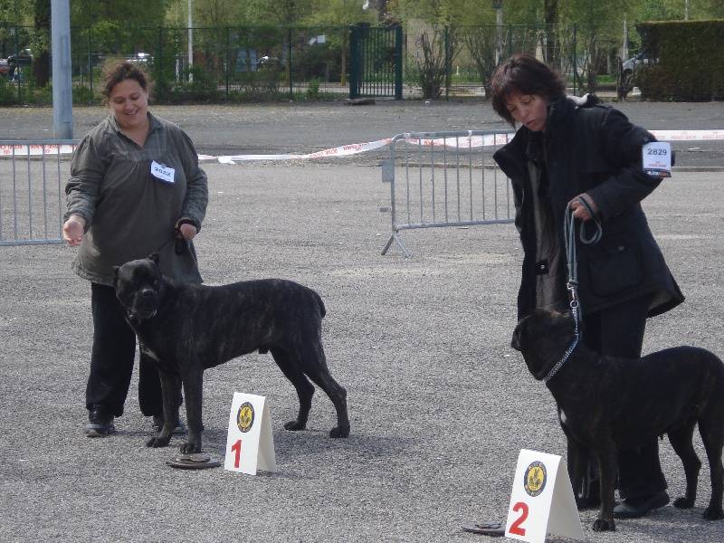 activité physique