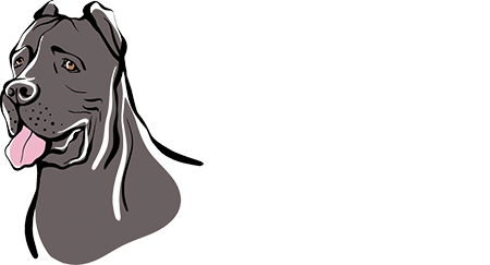 le temple des brumes